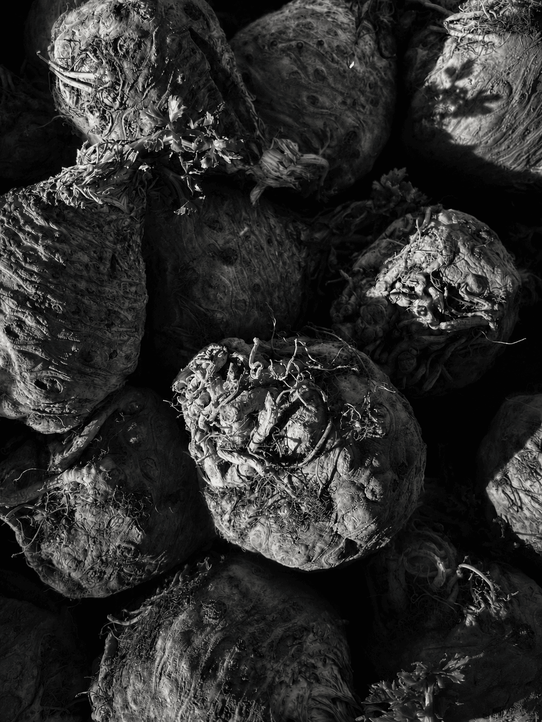 Celeriac
