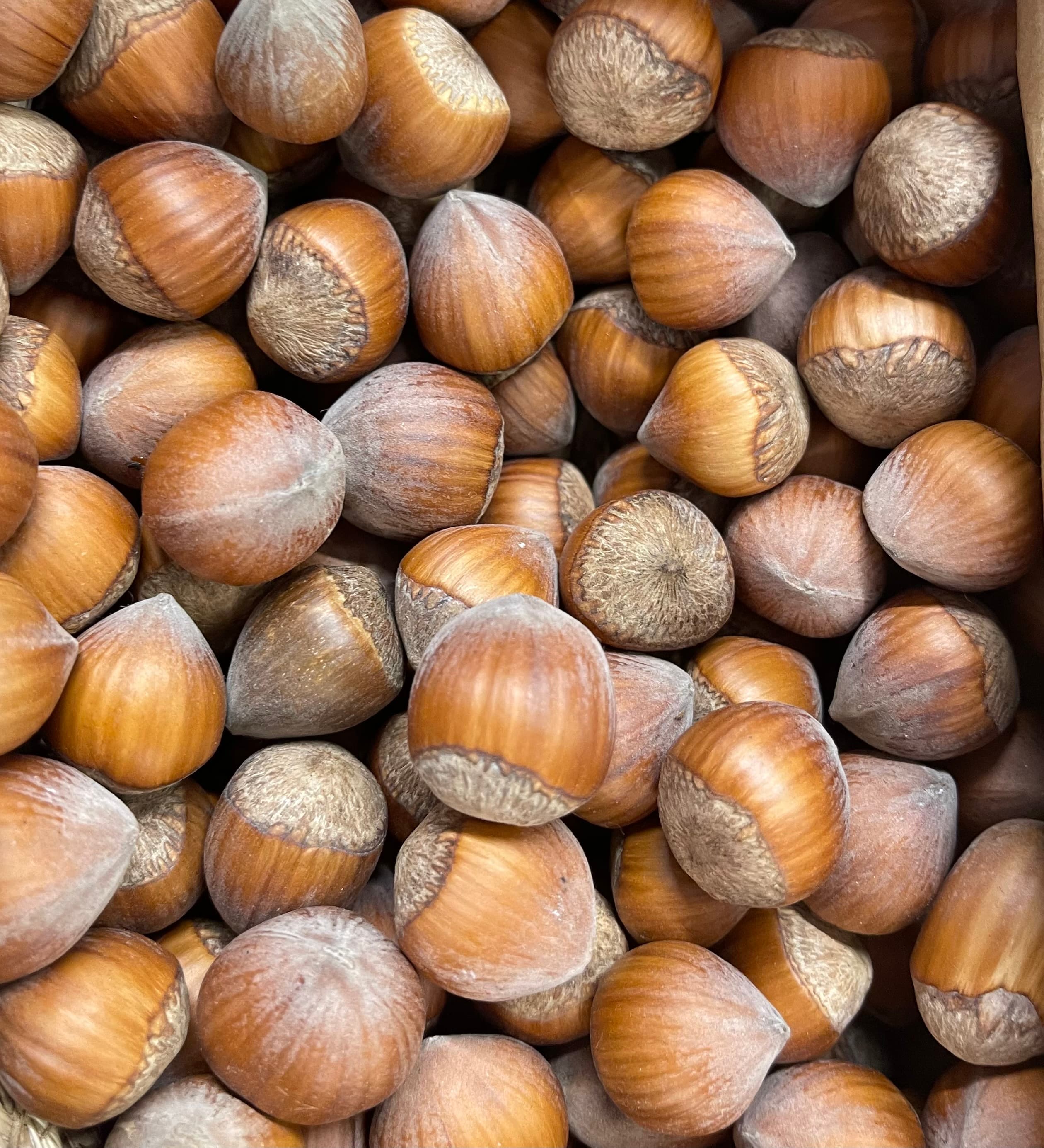 Hazelnuts